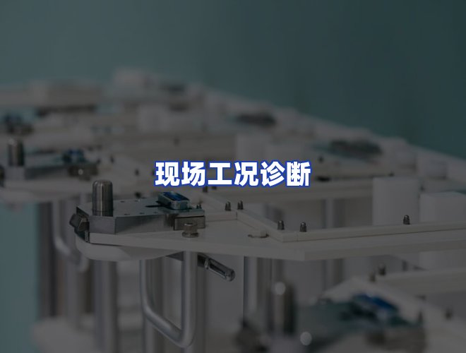 专业团队